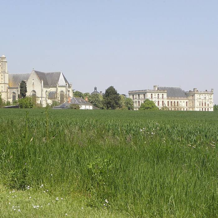 Photo de Collégiale Saint-Maurice dOiron